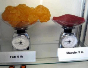 weigh fat