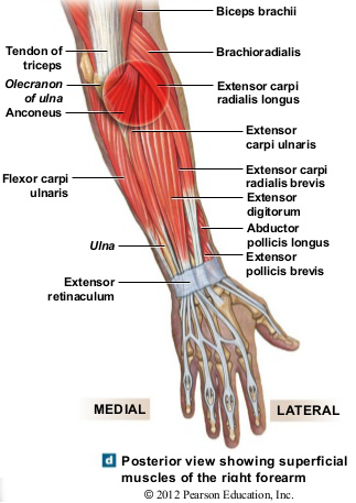 what is tennis elbow